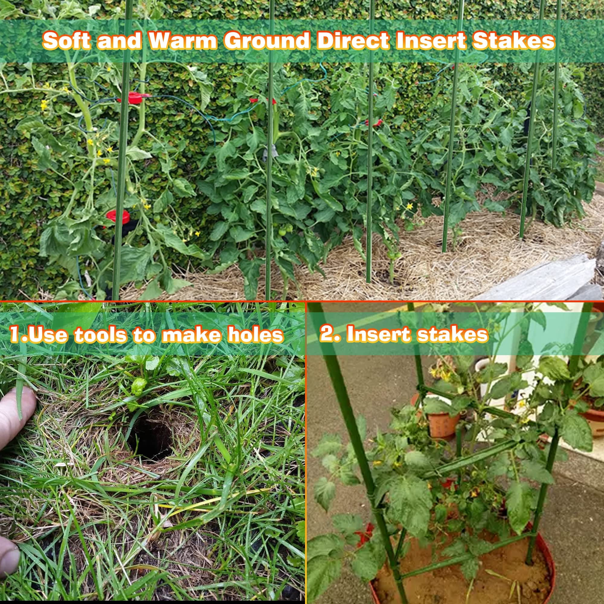 Xiny Tool stakes form a trellis or teepee for vines