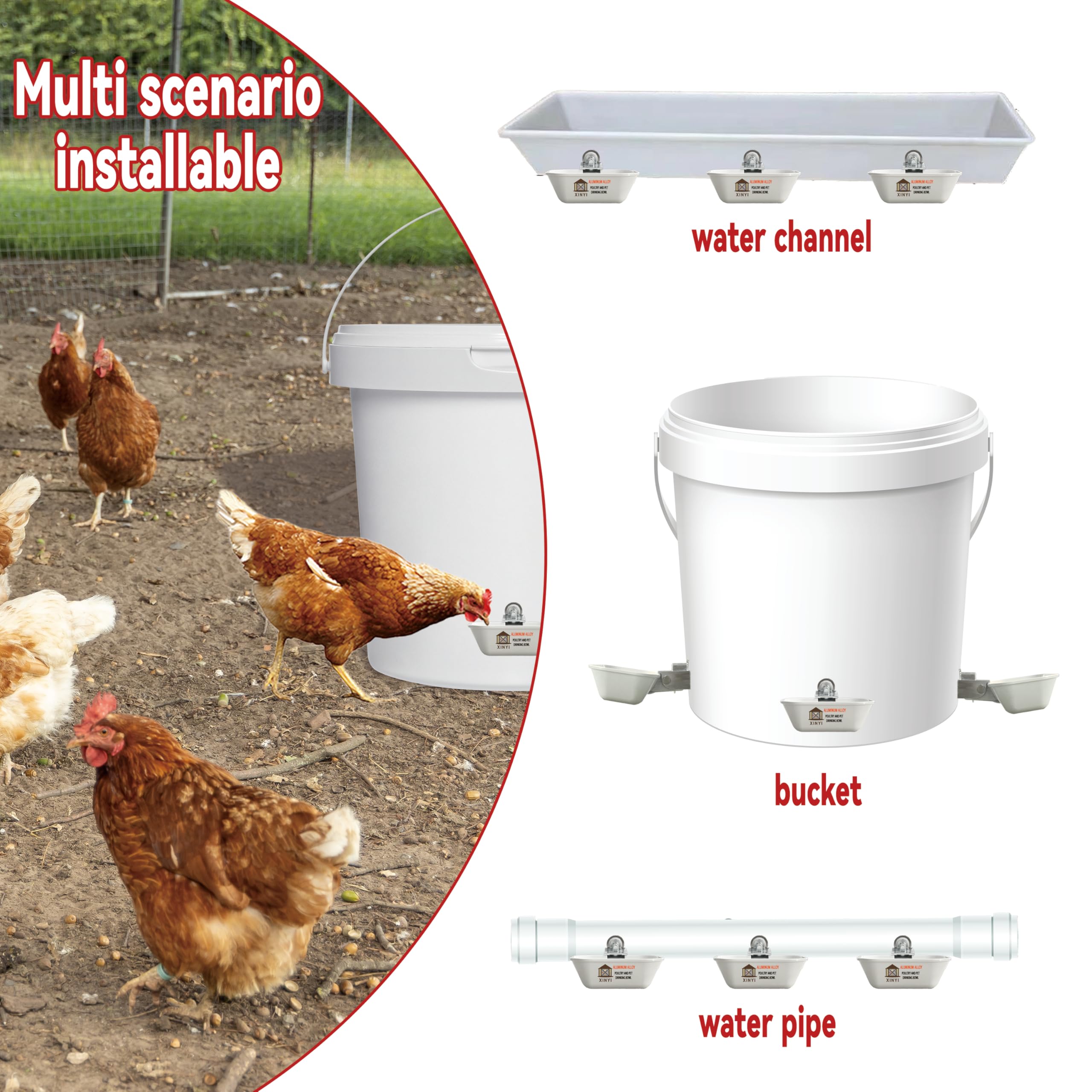 XINYI 130ml capacity water cup ready to keep birds hydrated between fills.