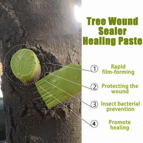 XIRUJNFD bonsai cut paste sealing bonsai cuts and wounds