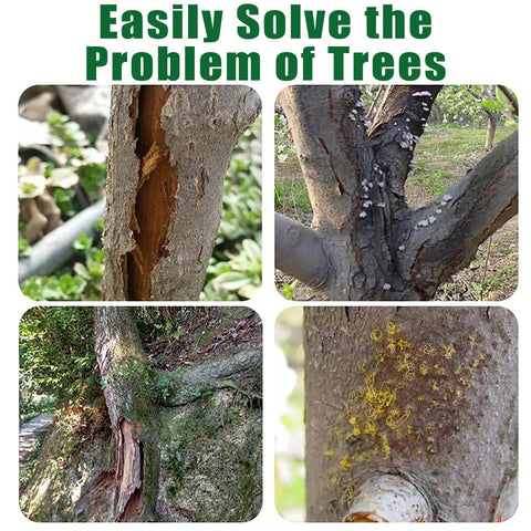 XIRUJNFD Tree Whitewash Agent trunk-application shows uniform white coating.