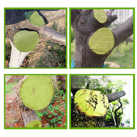 XIRUJNFD tree wound dressing coating creating a protective layer