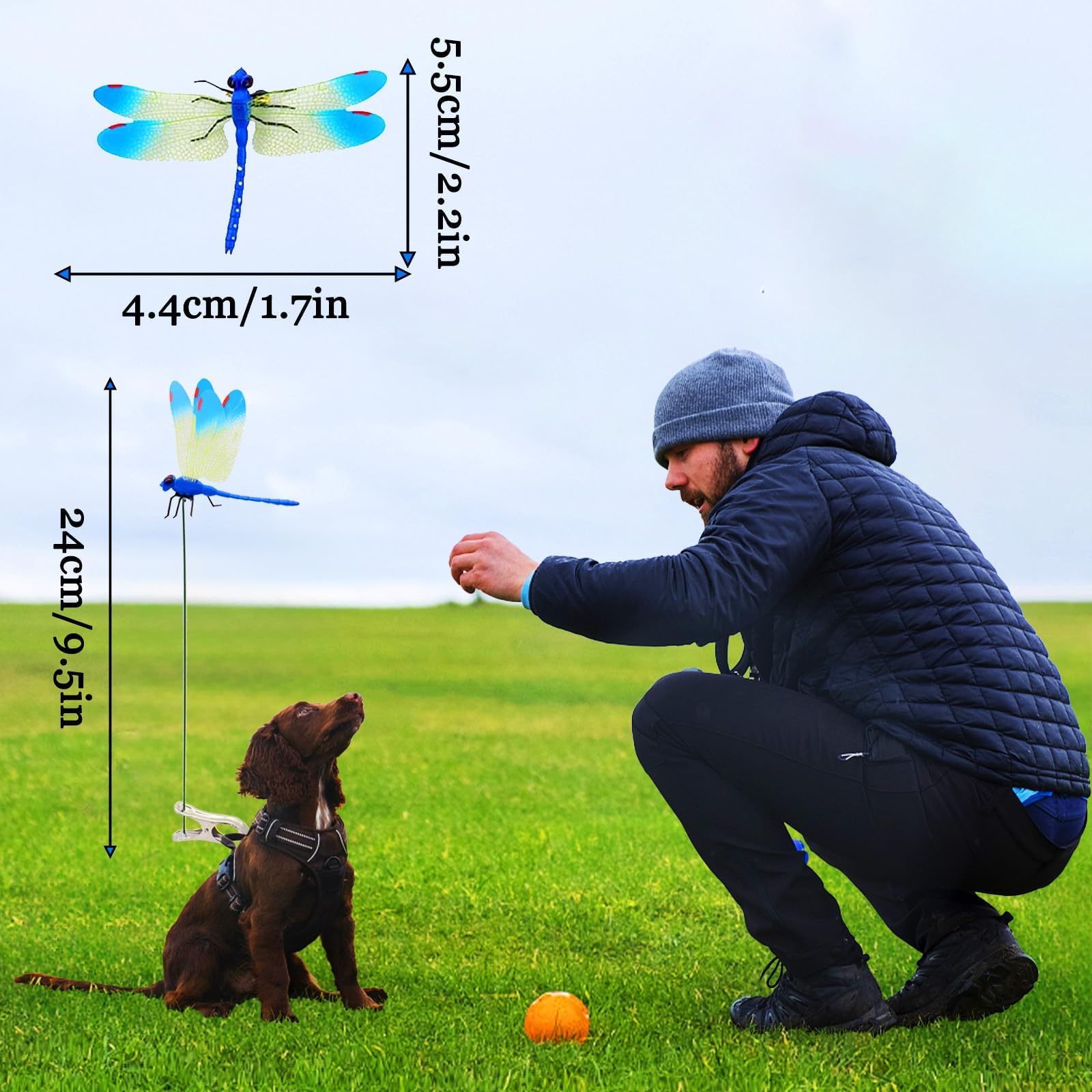 XITORAS dragonfly clip used during outdoor walks for garden enhancement and insect deterrence.
