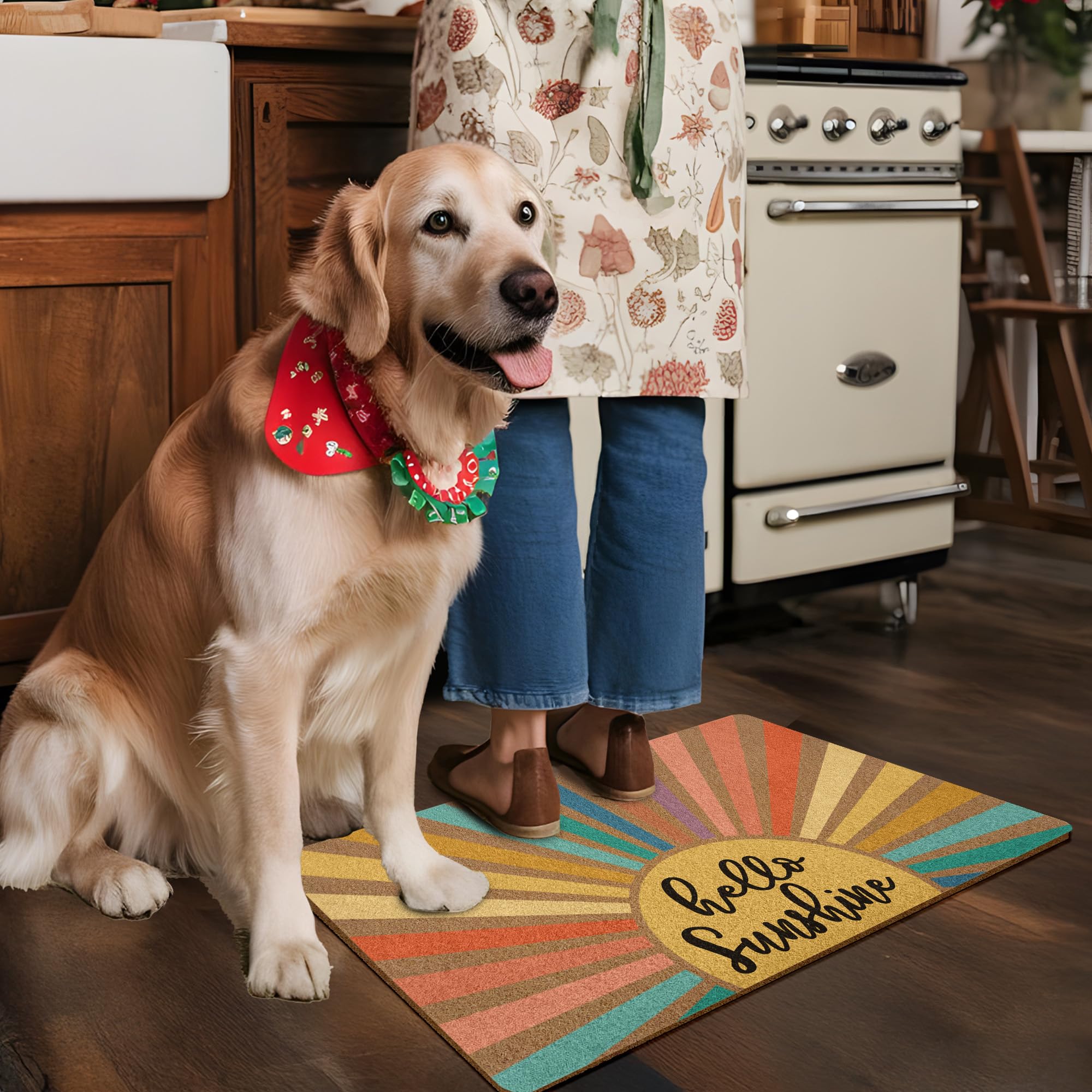 XLDLIOO Boho Sunshine Door Mat is suitable for indoor and outdoor use in high-traffic areas.