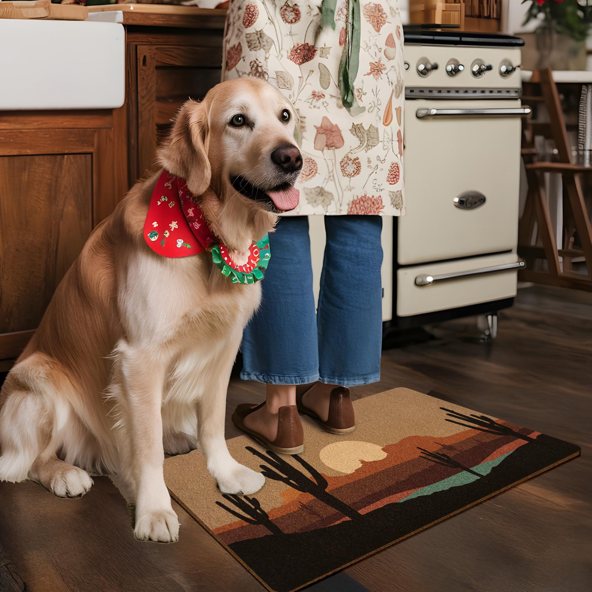 XLDLIOO rustic entry mat enhances curb appeal while trapping dirt at the doorway