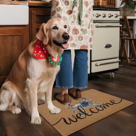 XLDLIOO Beach house decor doormat on a patio entryway.