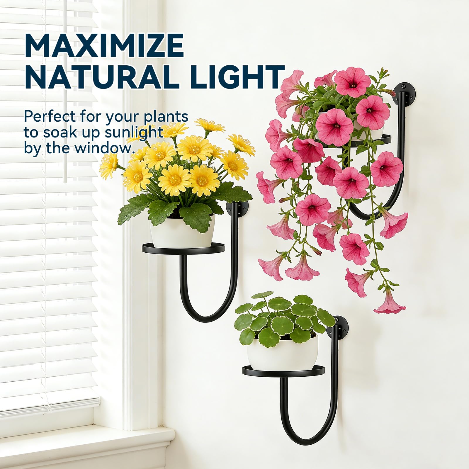 XNGZY wall planters 3-pack assembly-instructions guide for quick setup