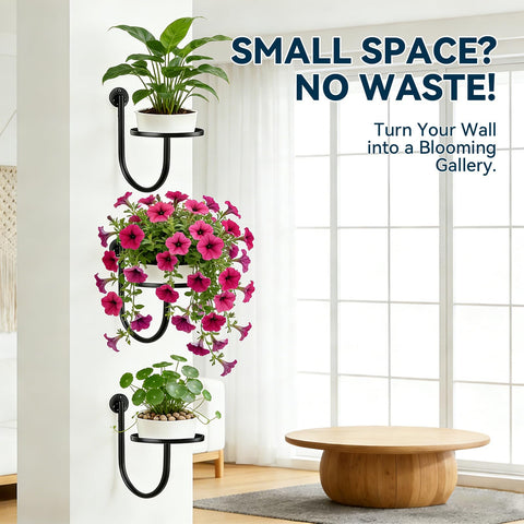 XNGZY wall planters 3-pack bathroom-dry area ideal for moisture-tolerant greens