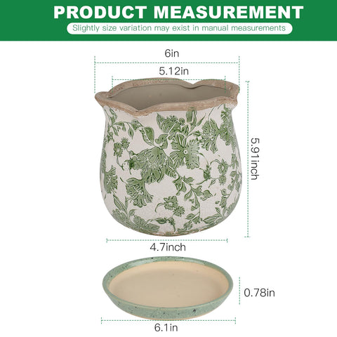 Xoogifae 6-inch Tuscan style planter ideal for succulents.