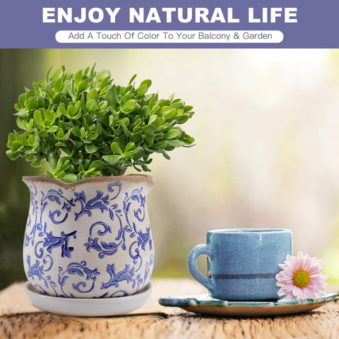 The Xoogifae ceramic planter in 6-inch size fits desks and shelves