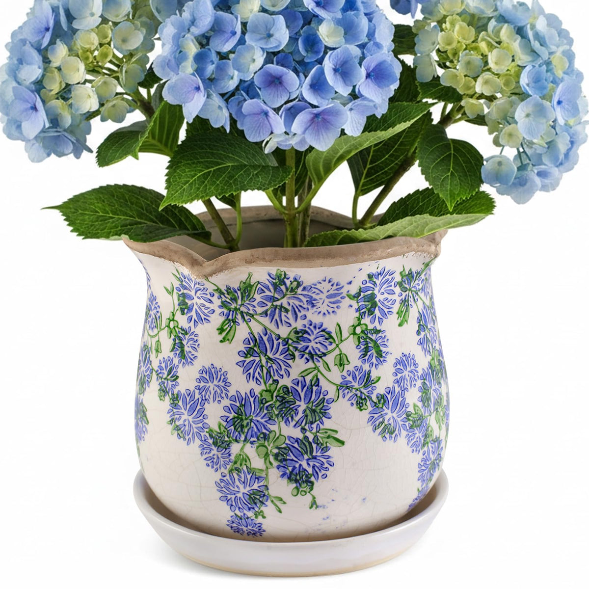 Xoogifae ceramic planter with ice crackle glaze adds vintage charm to interiors