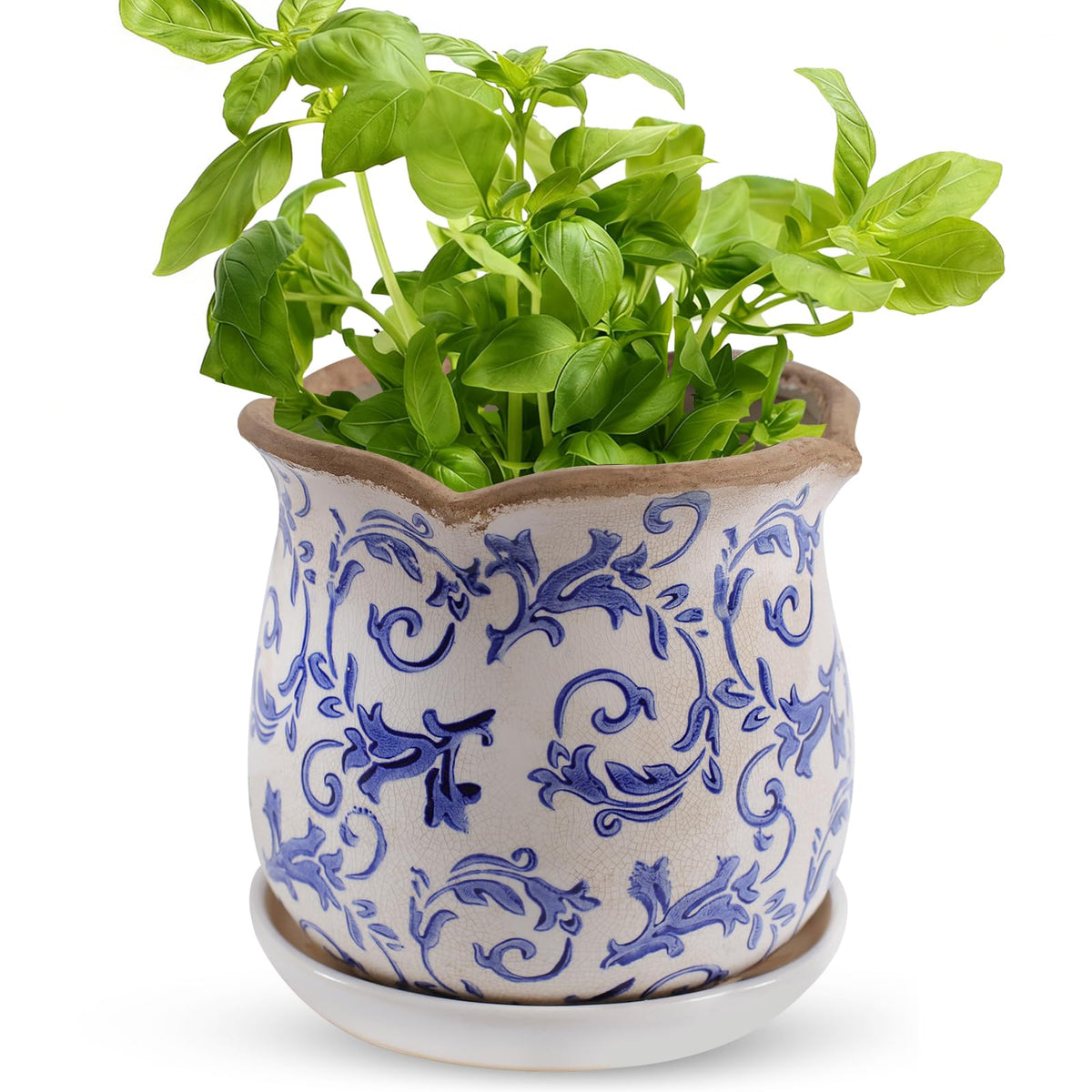 Xoogifae ceramic planter with ice crackle glaze and saucer for elegant indoor display