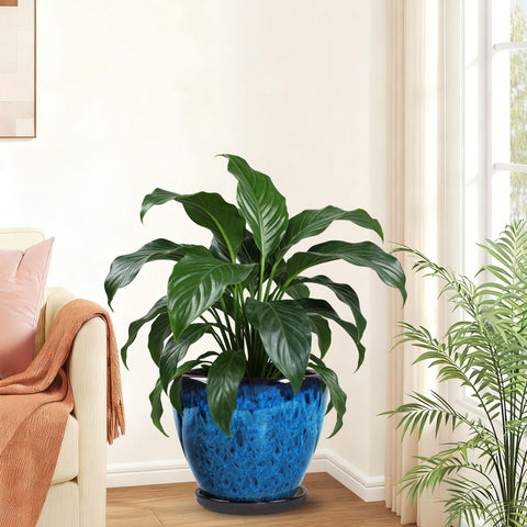 Xoogifae indoor-outdoor ceramic pot with glaze finish resists fading.