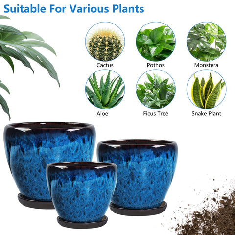 Xoogifae orchid-friendly pot in peacock glaze enhances home workspace decor.