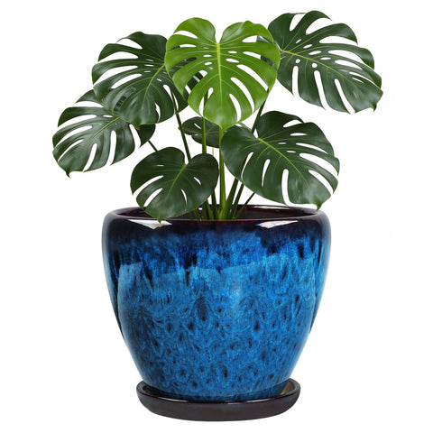 Xoogifae peacock-blue glazed ceramic pot 10 inch with saucer for elegant indoor decor.