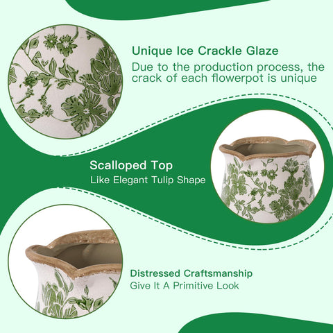 Xoogifae planter on tabletop enhances home office decor.