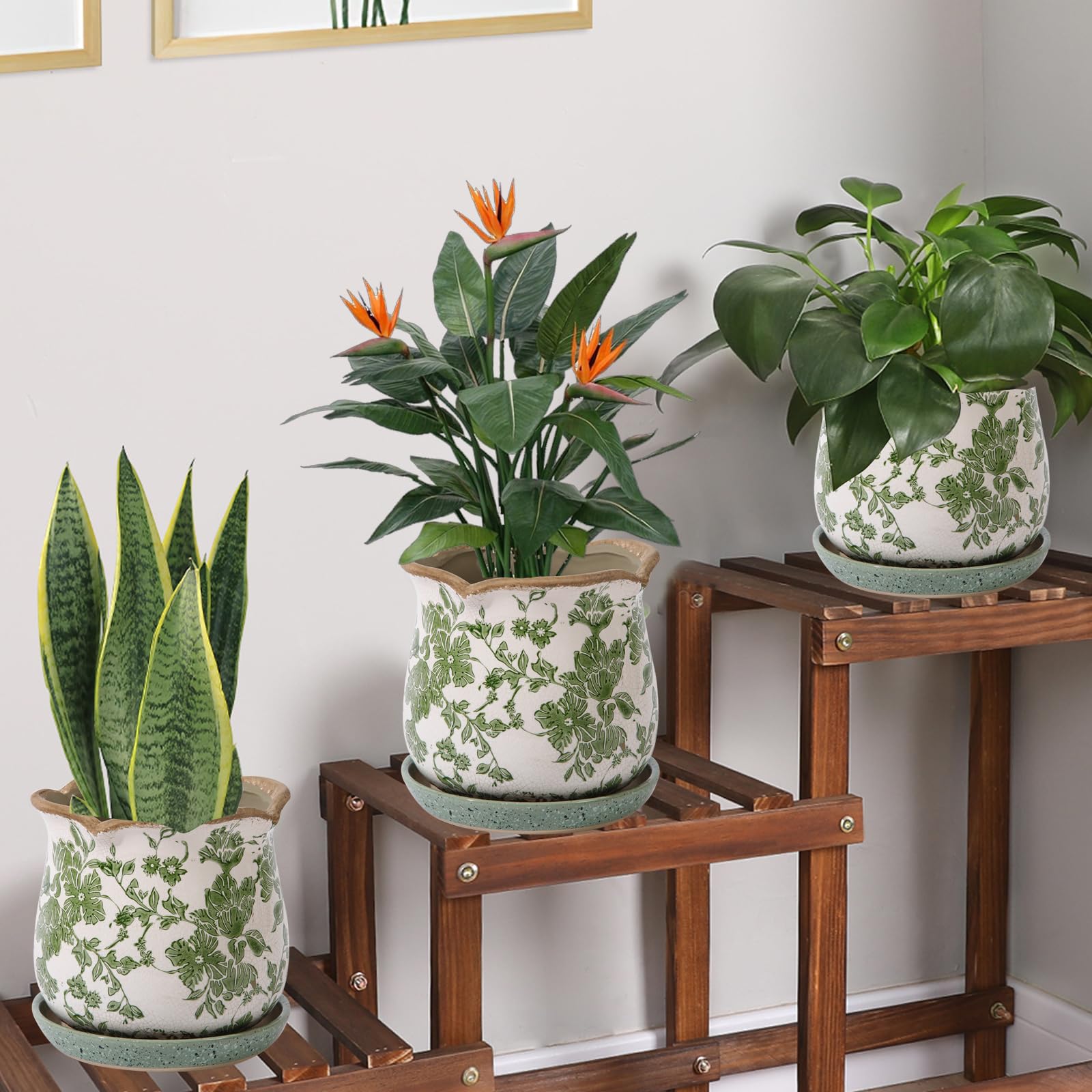 Xoogifae planter with removable saucer catches excess water.
