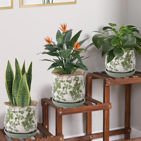 Xoogifae planter with removable saucer catches excess water.