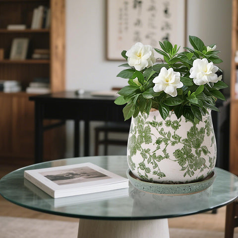 Xoogifae durable ceramic pot with drainage supports healthy roots.