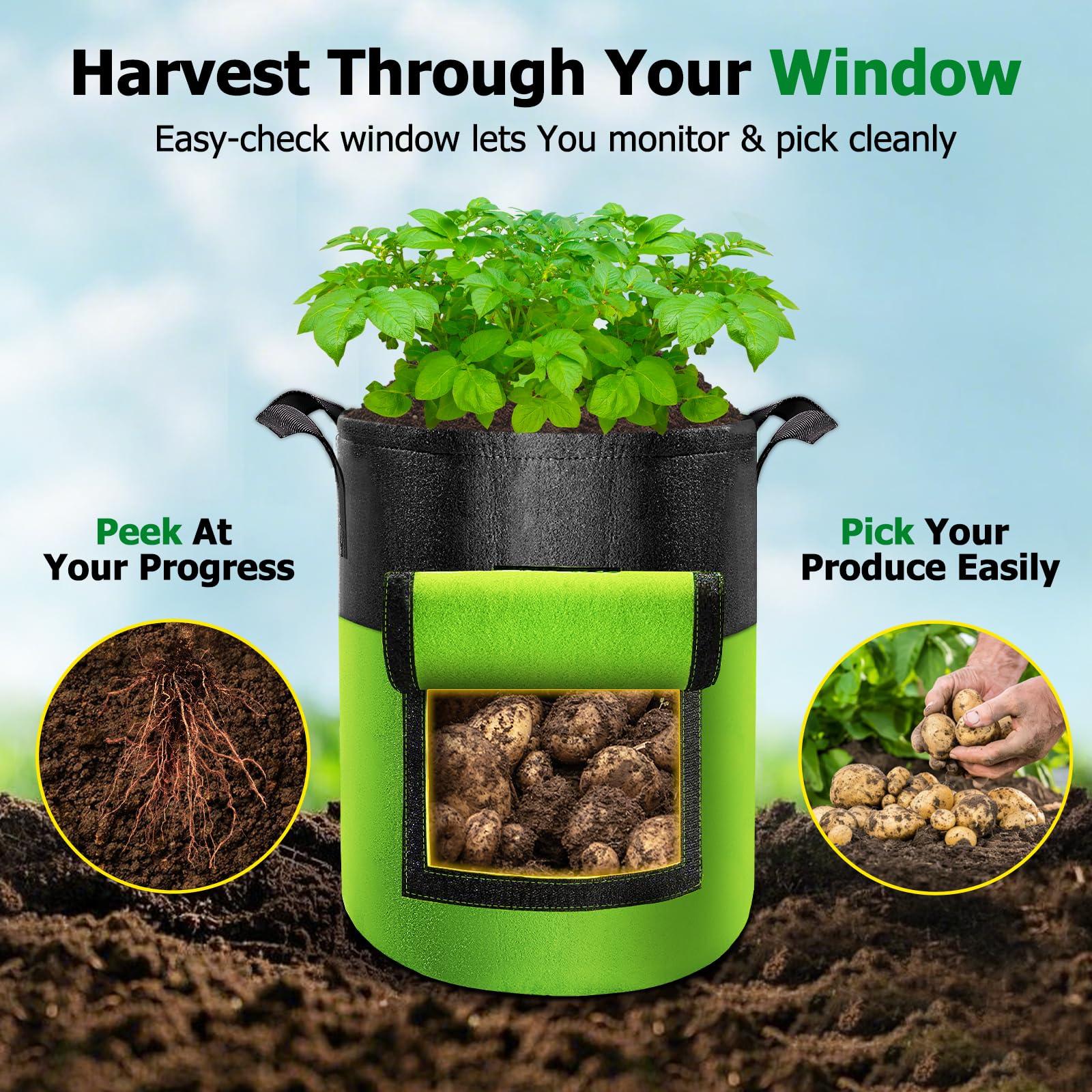 Xpatee color-block grow bags offer durable, reusable planters for vegetables on balconies.