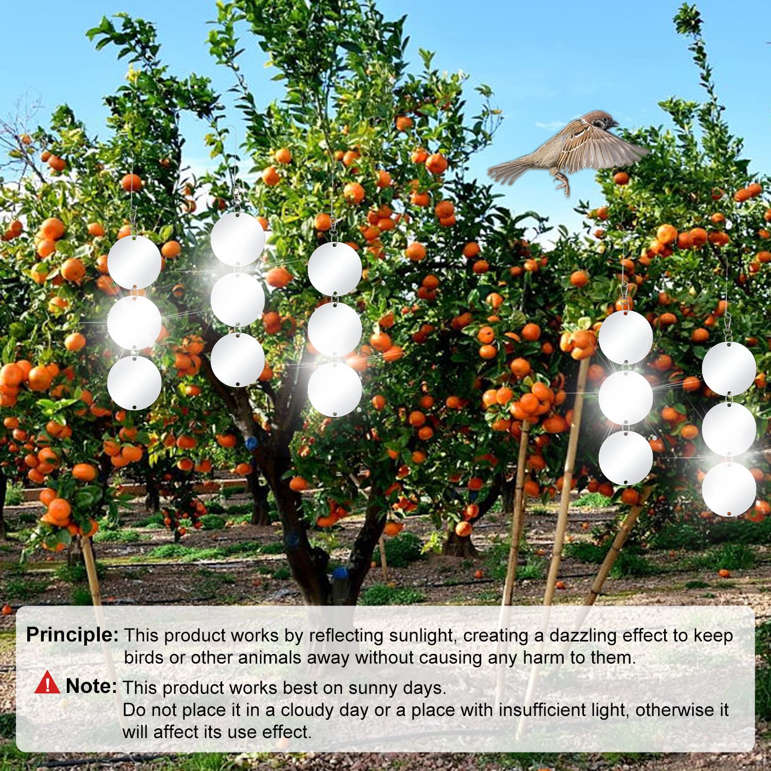 XPCARE discs rotating 360-degree view reflecting sunlight to deter birds