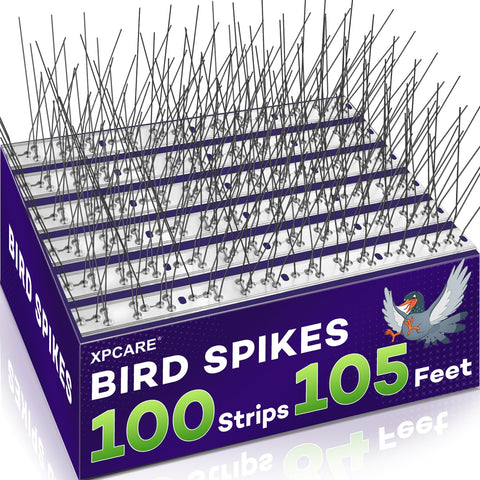XPCARE bird spikes protecting roof edge from birds and droppings.