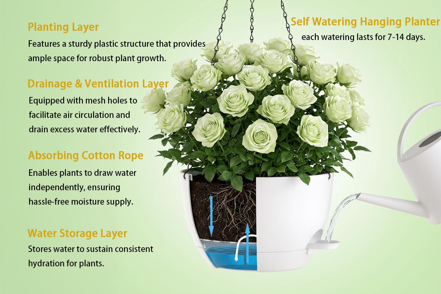 XQSHPDM sturdy anti-rust chains provide adjustable hanging height.