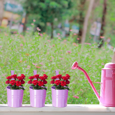 XRR hanging planters with wide indoor/outdoor use options on rails and fences.