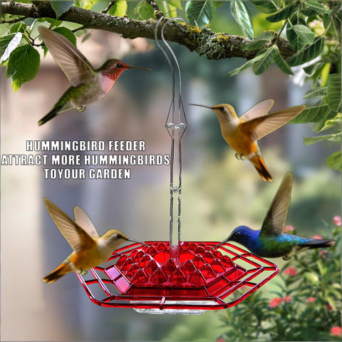 XRWEETH feeder features leak-proof design with locking hook for windy conditions