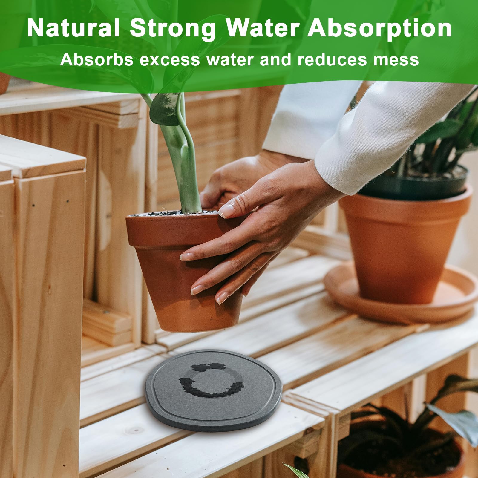 XRzitky diatomite plant saucer 6-inch oval combines style with practical moisture control.