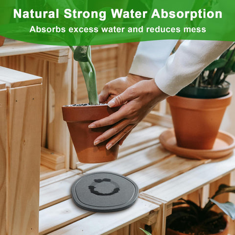 XRzitky diatomite plant saucer 6-inch oval combines style with practical moisture control.