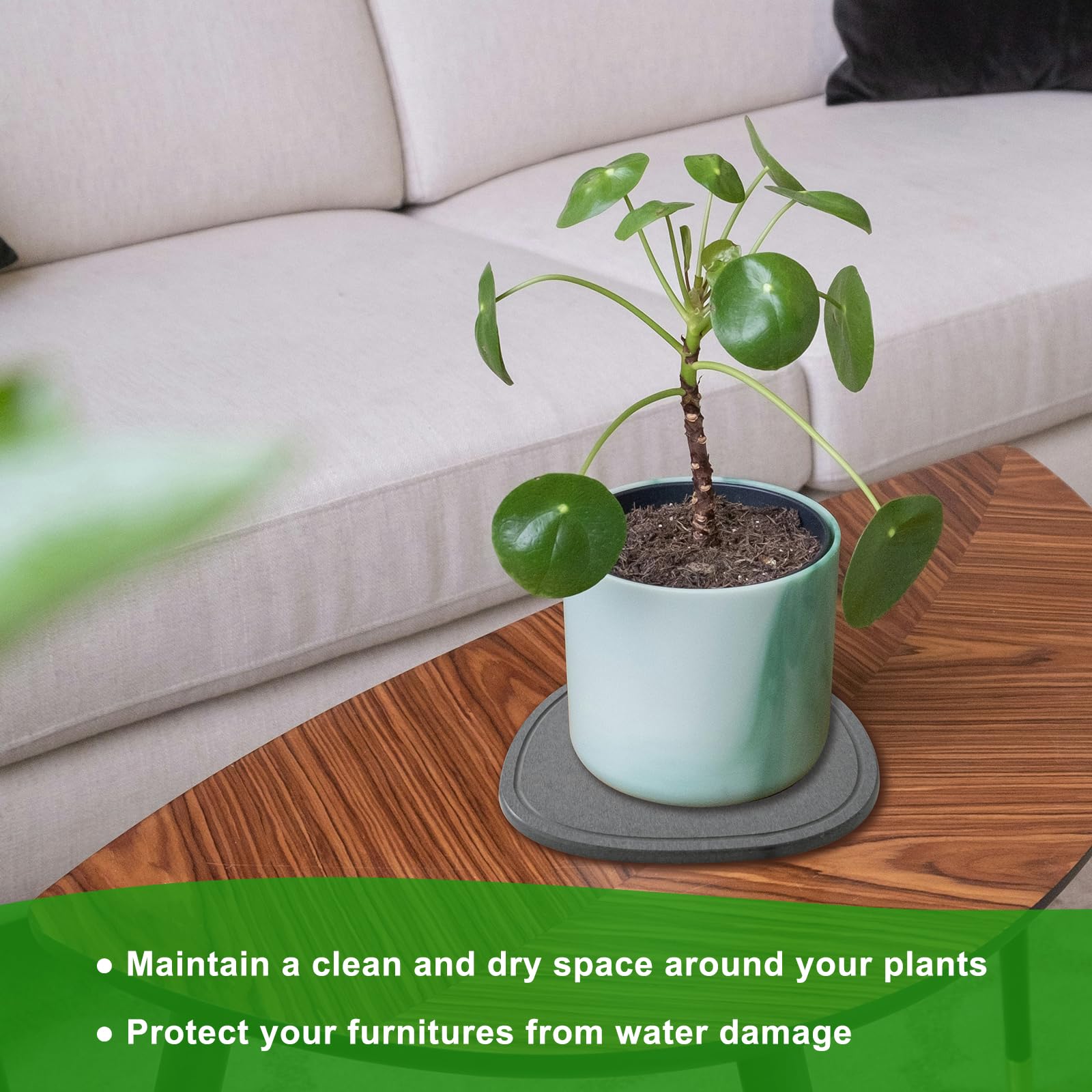 XRzitky diatomite plant saucer 8-inch round shields surfaces from overwatering while staying sleek.