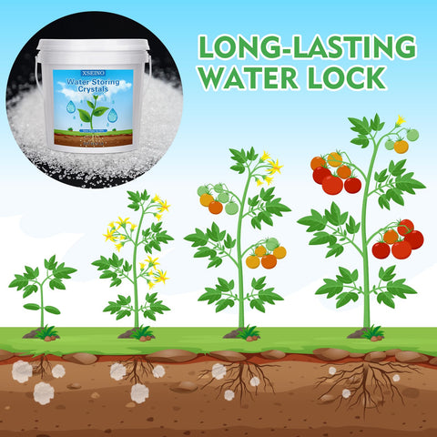 XSEINO crystals in soil mix enhance moisture and aeration for roots.