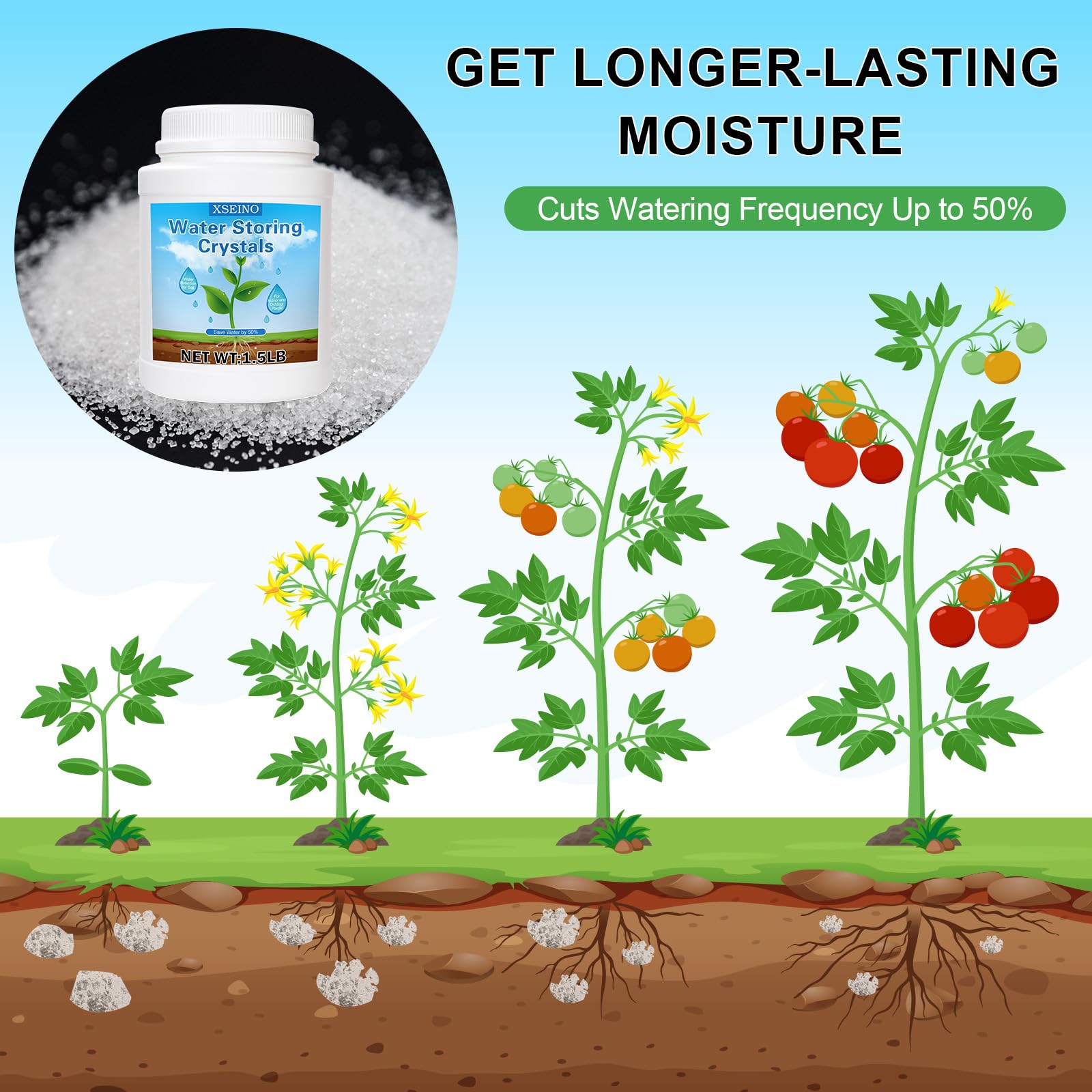 XSEINO crystals improve soil structure by enhancing aeration and drainage.