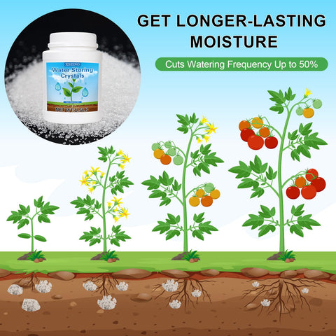 XSEINO crystals improve soil structure by enhancing aeration and drainage.