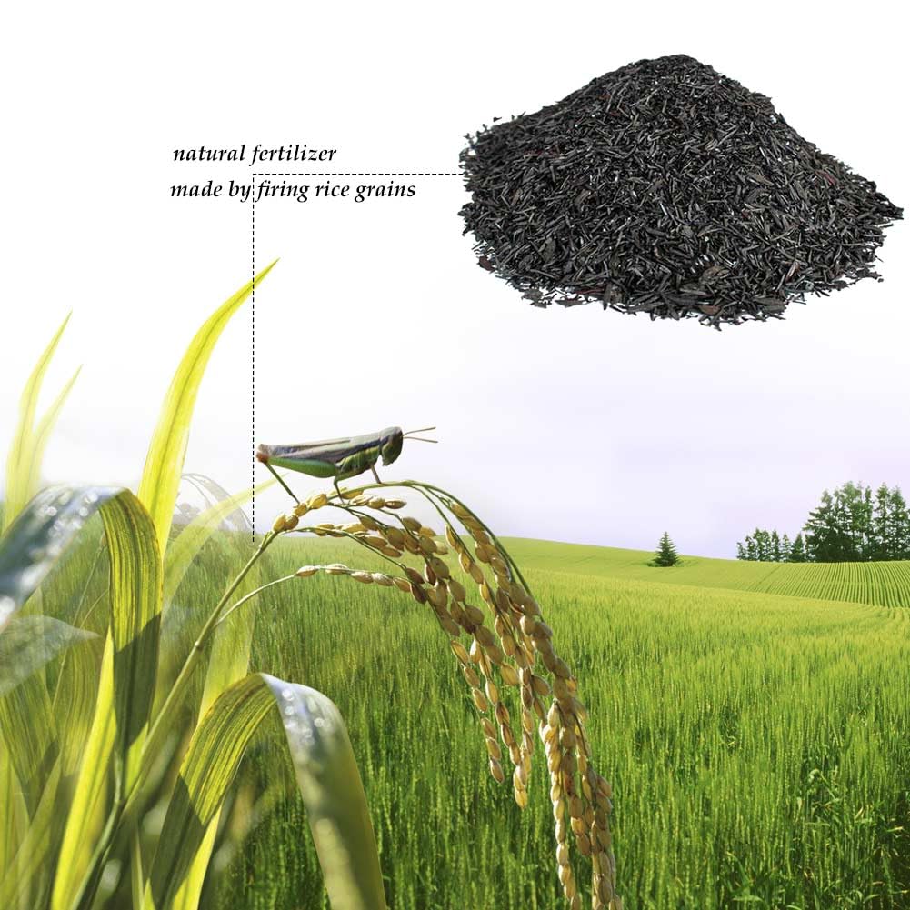 Close-up of XSOVTOR charcoal granules enhancing soil structure.