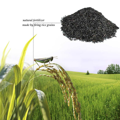 Close-up of XSOVTOR charcoal granules enhancing soil structure.