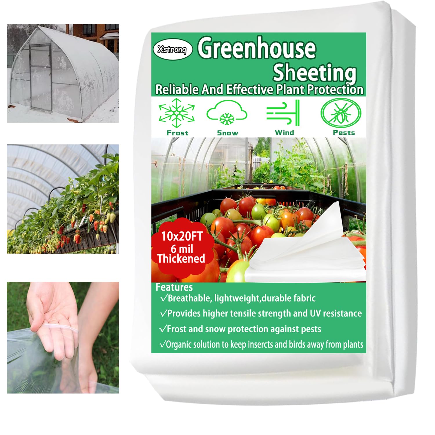 Xstronq greenhouse plastic film sheet with clear visibility and UV protection for seedlings.