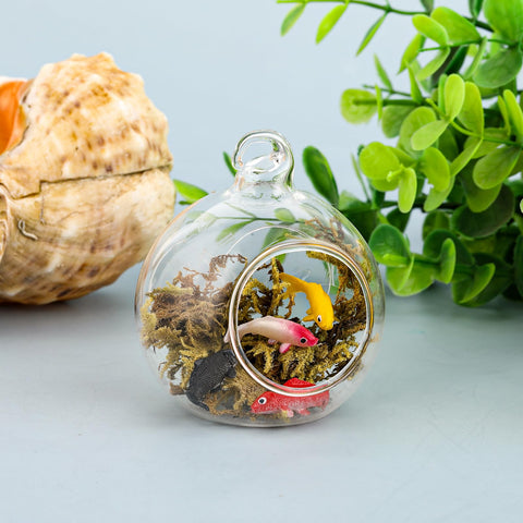 Xthrotsenk bonsai and fairy garden decor with tiny fish