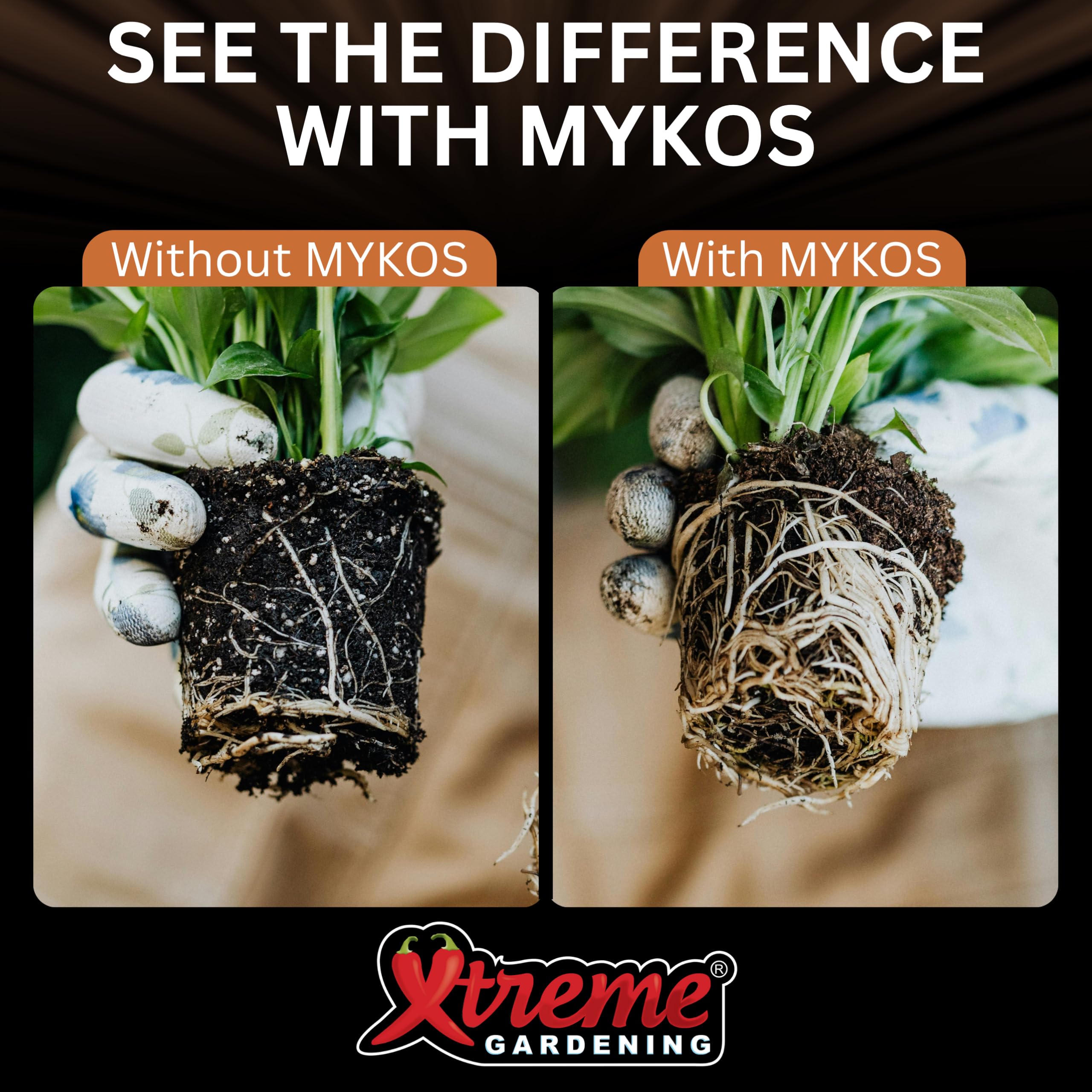 Xtreme Gardening Mykos dosage dispersion demonstrates easy application for consistent soil conditioning