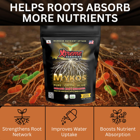 Xtreme Gardening Mykos mixing with soil shows root support boosts transplant resilience