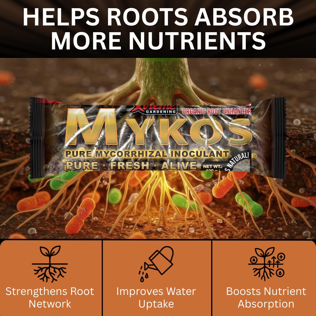 Xtreme Gardening Mykos Pure application dip demonstrates easy integration into transplant media.