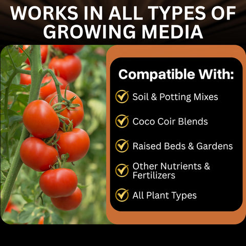 Xtreme Gardening Mykos Pure healthy-roots scene hints at robust growth potential.
