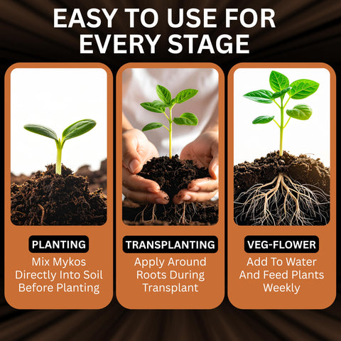 Xtreme Gardening Mykos Pure root-structure close-up reveals stronger root networks.