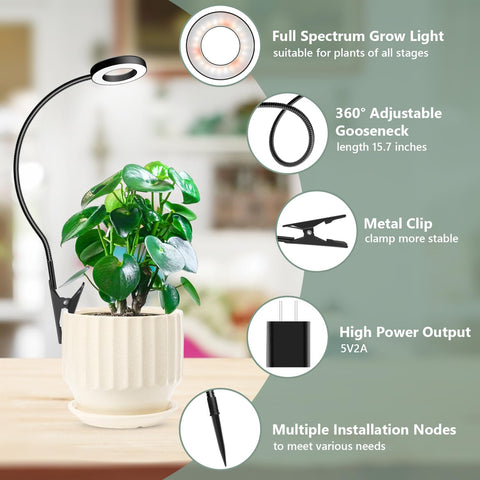 Xuligron Halo controller unit manages timing and brightness.