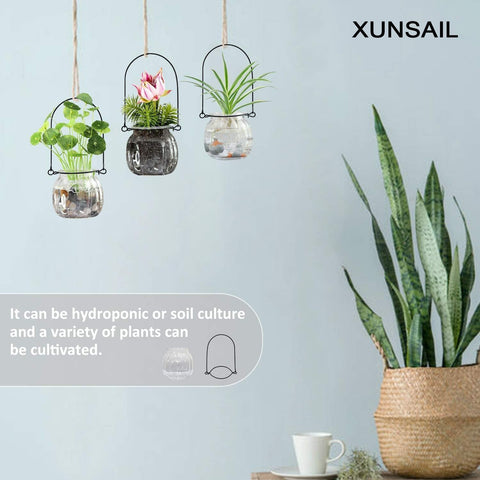 XUNSAIL air plant terrarium vases with wire hangers offer flexible wall display.