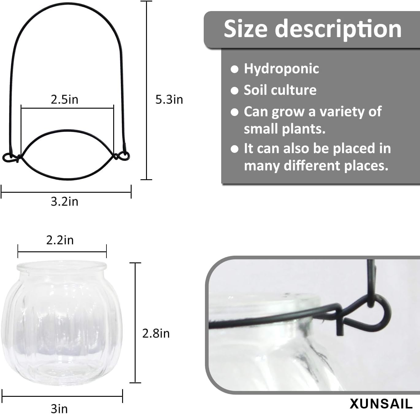XUNSAIL mini terrarium vase shows how tiny greens elevate home spaces.