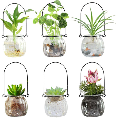 XUNSAIL terrarium glass vase hanging set showcases six stylish pendants for indoor decor.