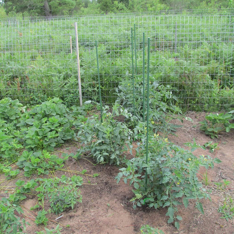 Xuwzenkl 25-pack of steel garden stakes for versatile garden use.