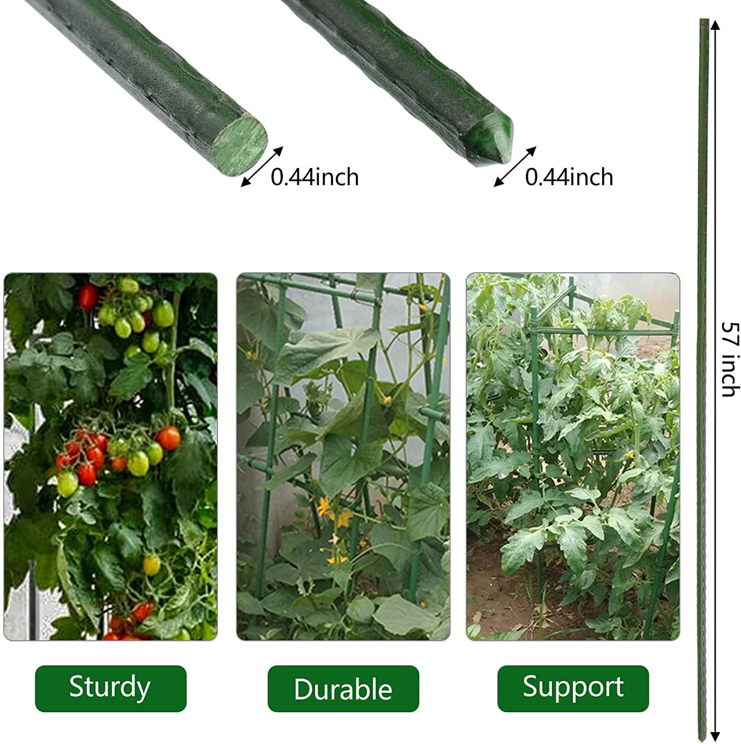 Xuwzenkl green-coated steel stake features a flat head for reinforcement.