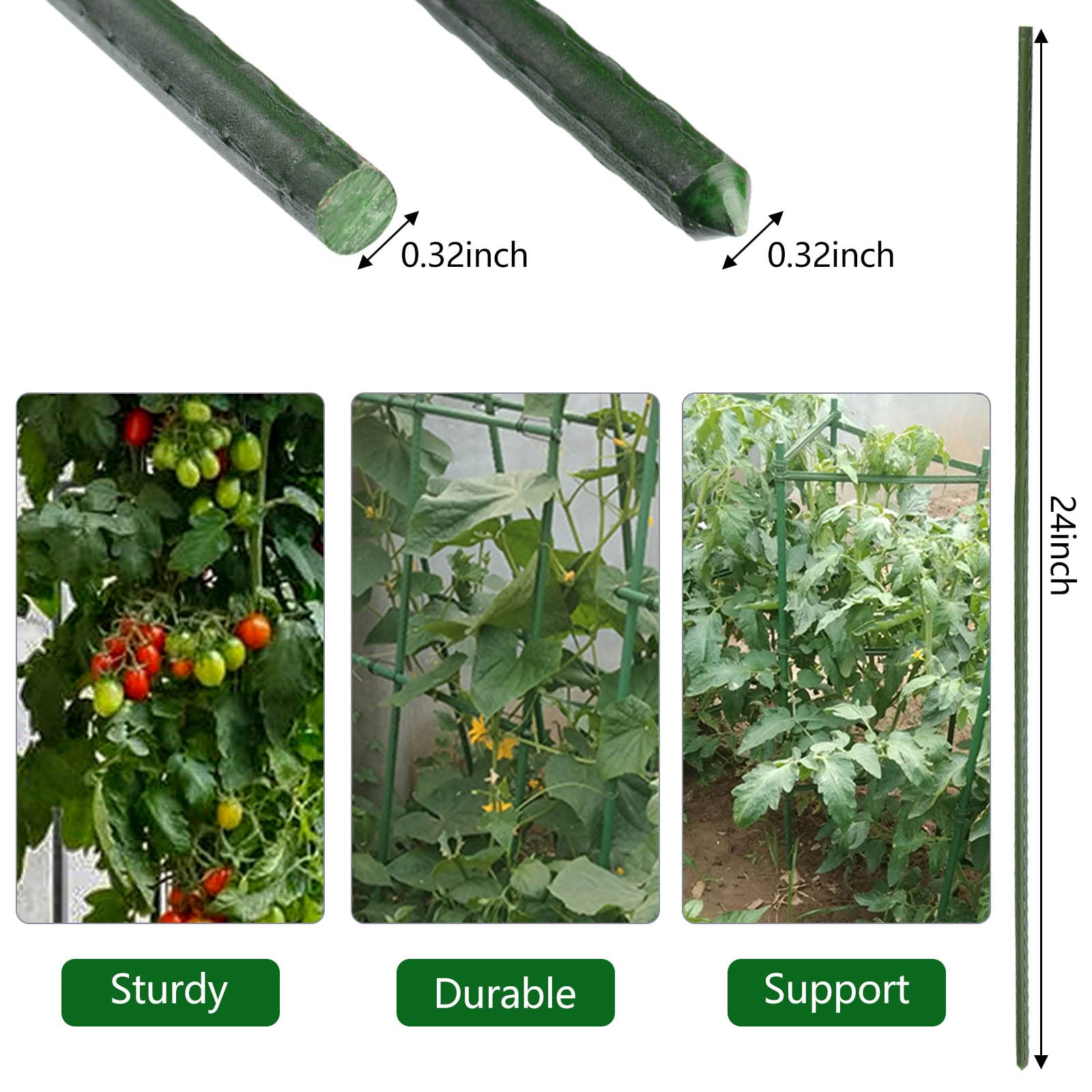 Xuwzenkl steel-plant-stake-flat-head design for secure reinforcement of climbing plants.